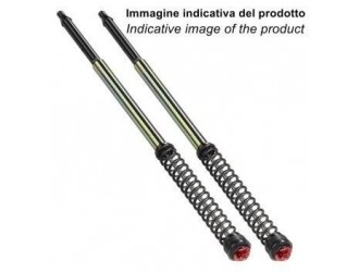 Kit cartucce forcella  per moto Naked ABB09