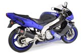 Auspuffanlage Schalldämpfer Mit 400 mm Ovaler Carbonspitze YAMAHA YZF1000 R Thunderace 1996-2003 Black Widow