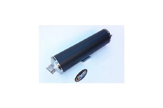 Silencieux d'échappement EU CA B1 BMW R 850R 2003 Marving