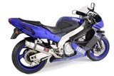 Gp Rundes 360 mm Edelstahl-Endrohr YAMAHA YZF1000 R Thunderace 1996-2003 Black Widow