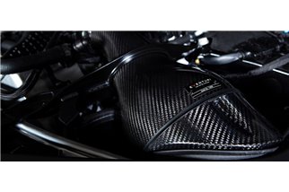 Sistema di Aspirazione con protezioni in carbonio Eventuri EVE-F9XM5M8-CF-INT BMW F92 M8
