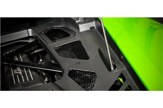 Copertura motore in carbonio con finiture satinate Eventuri EVE-HCN-CF-ENG Lamborghini Huracan