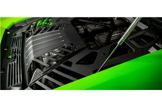 Copertura motore in carbonio con finiture satinate Eventuri EVE-HCN-CF-ENG Lamborghini Huracan