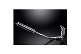KAWASAKI ZZR1400 ZX14 2012-2023 SISTEMA DI SCARICO 4-1 450MM CARBONIO OVALE BSAU
