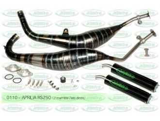 Marmitte scarichi exhaust Aprilia RS 250 Jollymoto 0110
