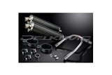 KIT SCARICO SILENZIATORE BSAU CARBONIO OVALE HONDA CB900F HORNET 01-09 HI LEV 450MM