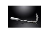 SISTEMA DI SCARICO COMPLETO KAWASAKI 1000SX NINJA 2020-24 SILENZIATORE TITANIO X-OVAL DA 343 MM
