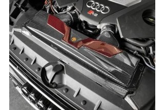 Carbon Fiber Intake Kit Cover for Audi RS6 C8 ARMAADR6C8-A