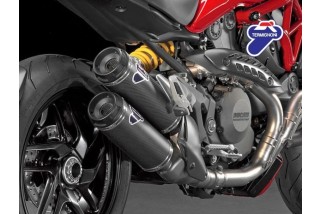 Exhausts APPROVED CARBON TERMINALS TERMIGNONI 96480541A DUCATI MONSTER 821 2015-2017