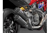 Exhausts APPROVED CARBON TERMINALS TERMIGNONI 96480541A DUCATI MONSTER 821 2015-2017