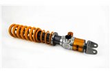 Kit Coilover ÖHLINS Advanced Trackday per Porsche 911 (997) GT2 2007 – 2010