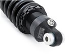 Ammortizzatore ÖHLINS STX 46 Blackline BM 491 per BMW R nineT Scrambler 2016 – 2020