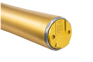 Forcella anteriore ÖHLINS RXF 48 MX & Enduro FFX 0201 per GASGAS MC 350F 2022