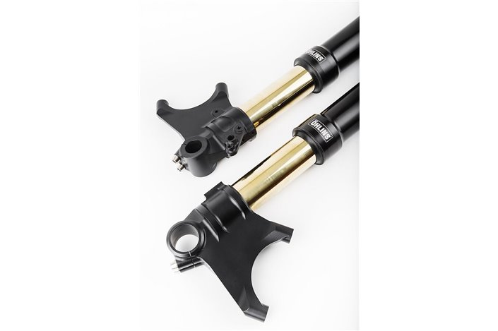 Forcella anteriore ÖHLINS FGRT Upside Down Road & Track FGRT 301 per Ducati Diavel Carbon/ Carbon ABS (G1) 2011 – 2016