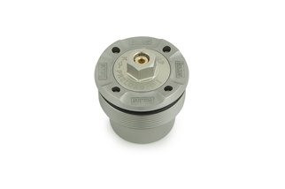 Kit cartuccia forcella ÖHLINS NIX 30 FGK 219 per Ducati Panigale V4 Speciale 2018 – 2019