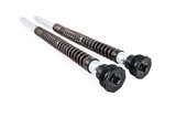 Kit cartuccia forcella ÖHLINS FKA Adventure FKA 115 per Aprilia Tuareg 660 Rally 2025