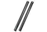 Kit cartuccia forcella ÖHLINS NIX 30 Street FKS 521 per Indian FTR 1200 2019 – 2020