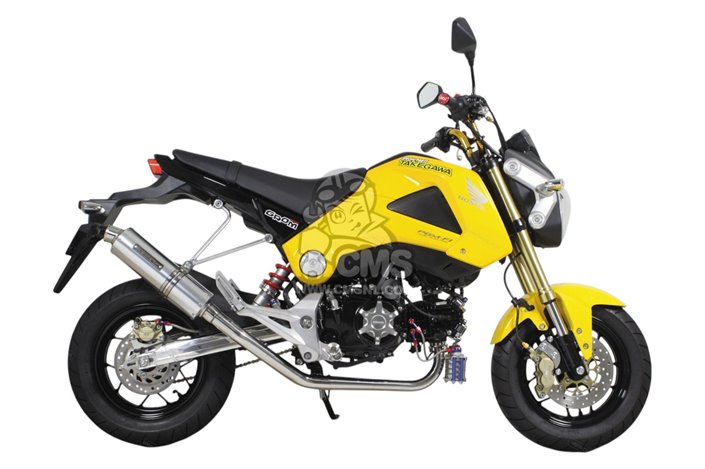 Scarico Terminale Takegawa 04-02-0215 per Honda MSX125 2013
