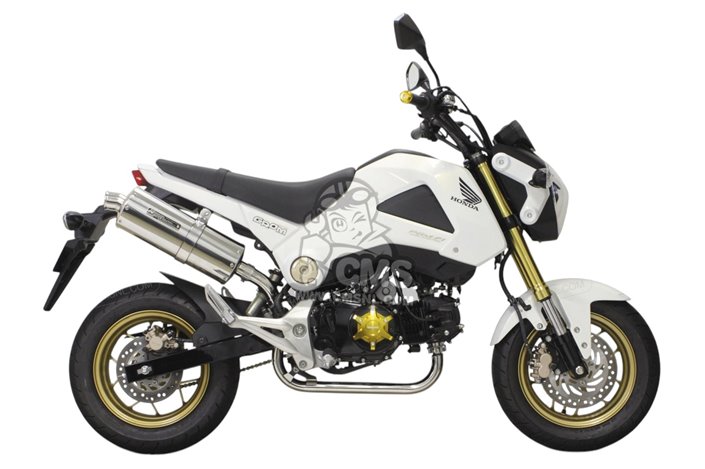 Scarico Terminale Takegawa 04-02-0216 per Honda MSX125 2013