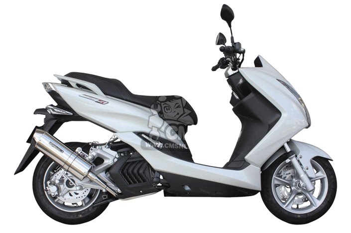 Scarico Terminale Takegawa 04-02-0204 per Yamaha MAJESTYS SG28J