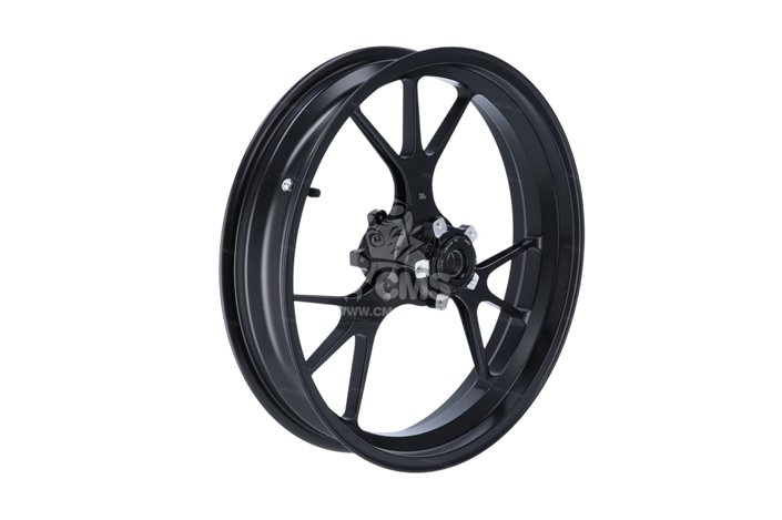 Cerchio anteriore 50122351AA per Ducati MTS1260S 2018