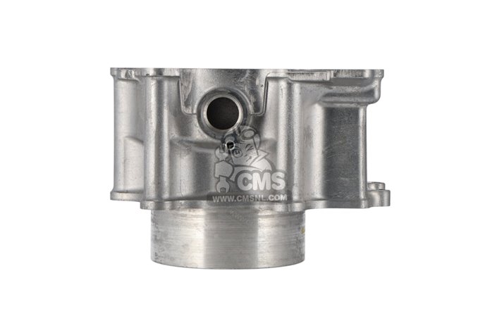 Cilindro 11211-31G50-0F0 per Suzuki LT-A700XPZ KING QUAD 2009