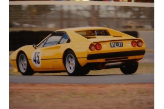 sistema di scarico sportivo in acciaio inox quick silver FE438S Ferrari 308 GTB GTS 1975-1981