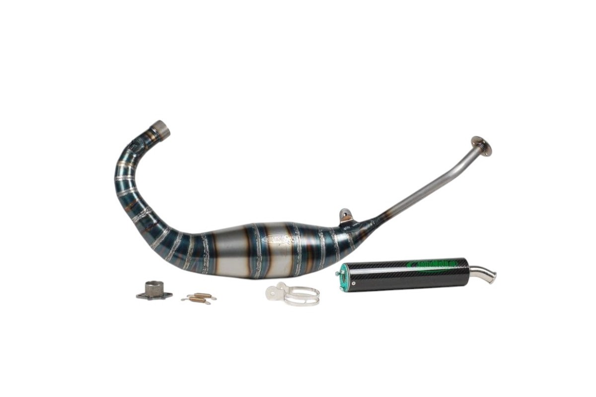 Sistema di scarico JOLLYMOTO a 2 tempi con silenziatore in carbonio JA0107S-BCF APRILIA RS125 TUONO 1995-2012