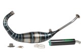 Sistema di scarico JOLLYMOTO a 2 tempi con silenziatore in carbonio JA0107S-BCF APRILIA RS125 TUONO 1995-2012