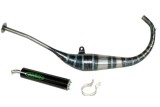 Sistema di scarico JOLLYMOTO a 2 tempi con silenziatore in carbonio 0116 APRILIA RS86