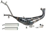 marmitte scarichi jollymoto js0603gp-lss suzuki rgv 250 vj22 gp silenz. alluminio