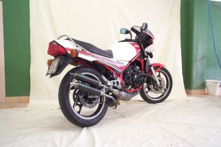 marmitte scarichi jollymoto jy0707rgp-bcf yamaha rz 350 silenziatore carbonio