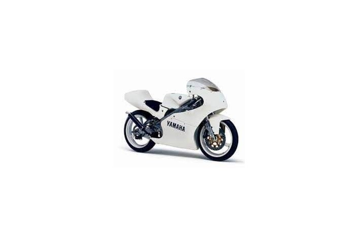 marmitta scarico jollymoto gara jmygp001-lss yamaha tz 125 silenziatore alluminio