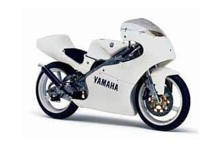 marmitta scarico jollymoto gara jmygp001-lss yamaha tz 125 silenziatore alluminio