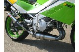 marmitte scarichi jl ck166ss-bcf-c kawasaki kr1s silenziatori carbonio